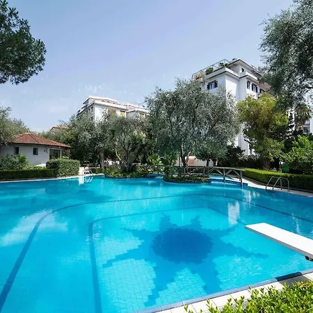 Bianca With Shared Pool